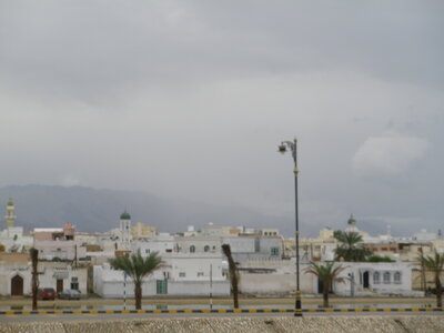 Oman 2011, Oman  240 