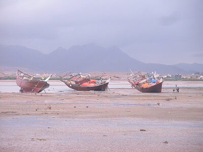 Oman 2011, Oman  244 