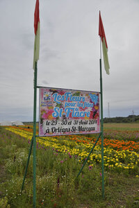 Préparatifs, _DSC5447