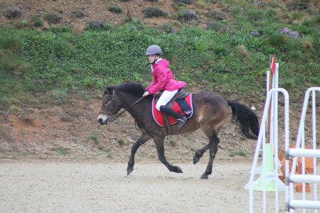 Ecurie du mas 29 mars 2015, IMG_2017