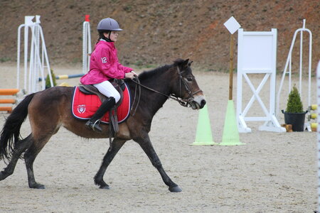Ecurie du mas 29 mars 2015, IMG_2018