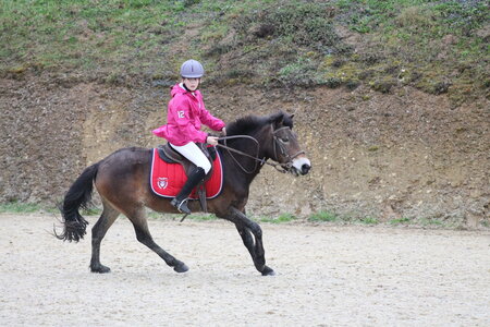 Ecurie du mas 29 mars 2015, IMG_2021