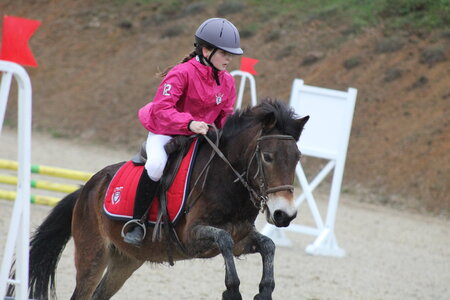 Ecurie du mas 29 mars 2015, IMG_2027