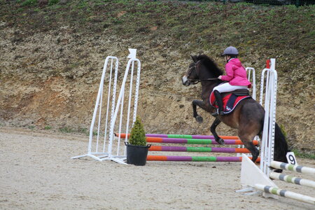 Ecurie du mas 29 mars 2015, IMG_2029