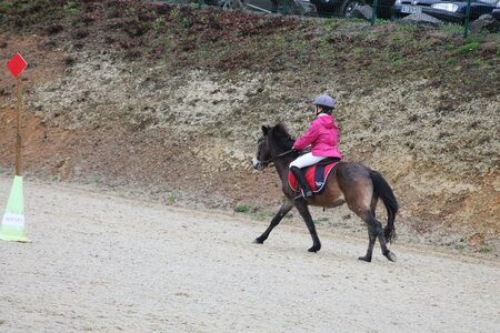 Ecurie du mas 29 mars 2015, IMG_2031