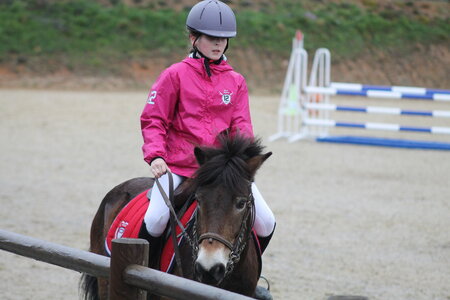 Ecurie du mas 29 mars 2015, IMG_2034