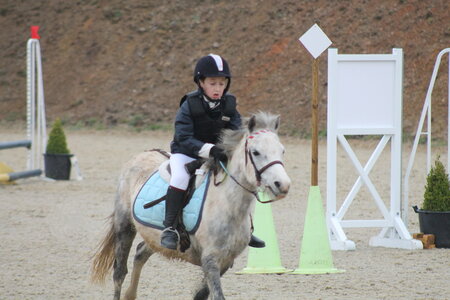 Ecurie du mas 29 mars 2015, IMG_2048