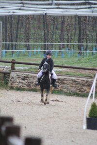 Ecurie du mas 29 mars 2015, IMG_2078