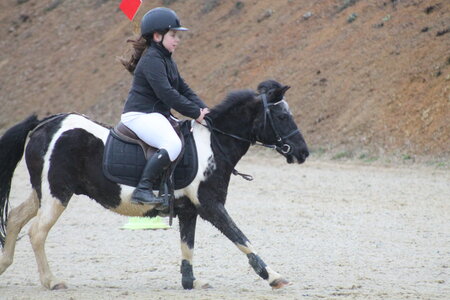 Ecurie du mas 29 mars 2015, IMG_2084