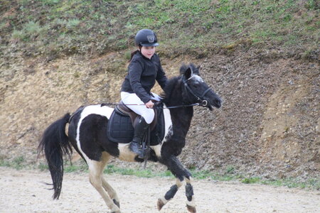 Ecurie du mas 29 mars 2015, IMG_2088