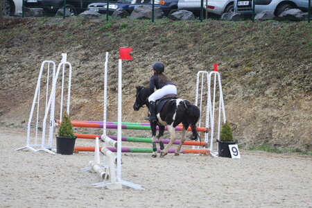 Ecurie du mas 29 mars 2015, IMG_2097