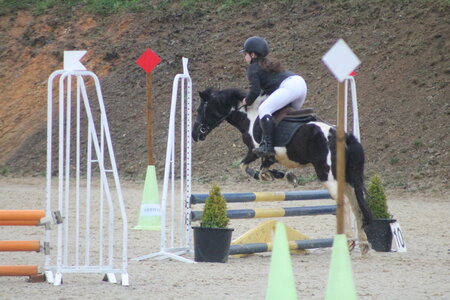 Ecurie du mas 29 mars 2015, IMG_2101
