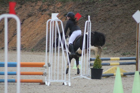 Ecurie du mas 29 mars 2015, IMG_2102