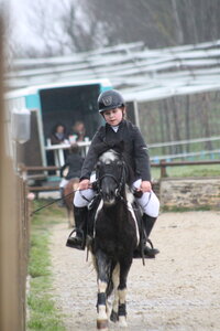 Ecurie du mas 29 mars 2015, IMG_2104