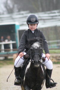 Ecurie du mas 29 mars 2015, IMG_2106
