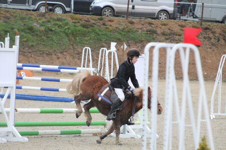 Ecurie du mas 29 mars 2015, IMG_2112