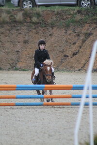 Ecurie du mas 29 mars 2015, IMG_2117