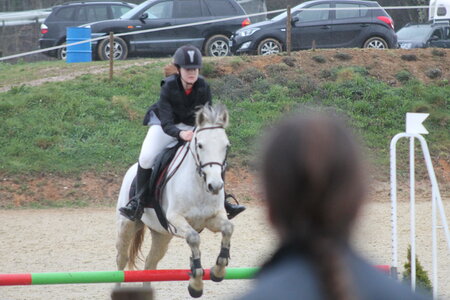 Ecurie du mas 29 mars 2015, IMG_2126