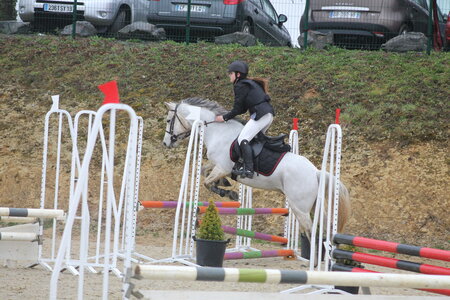 Ecurie du mas 29 mars 2015, IMG_2139