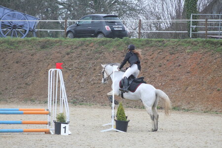 Ecurie du mas 29 mars 2015, IMG_2140