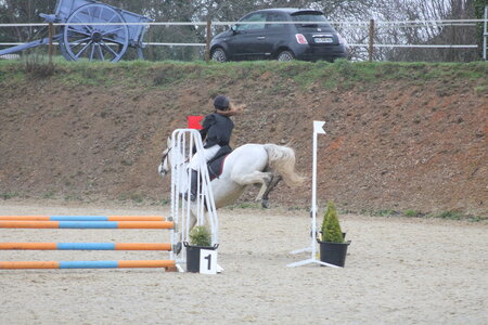 Ecurie du mas 29 mars 2015, IMG_2141