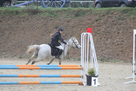 Ecurie du mas 29 mars 2015, IMG_2143