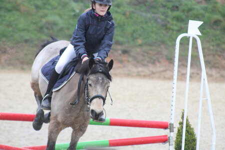 Ecurie du mas 29 mars 2015, IMG_2150