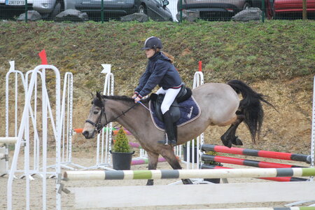 Ecurie du mas 29 mars 2015, IMG_2154