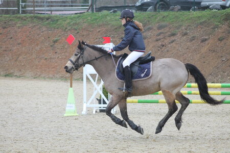 Ecurie du mas 29 mars 2015, IMG_2157