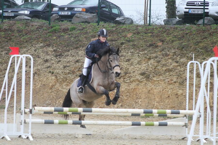Ecurie du mas 29 mars 2015, IMG_2159