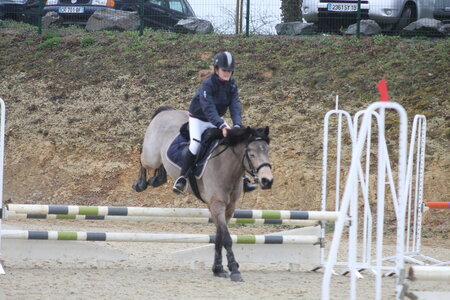 Ecurie du mas 29 mars 2015, IMG_2160