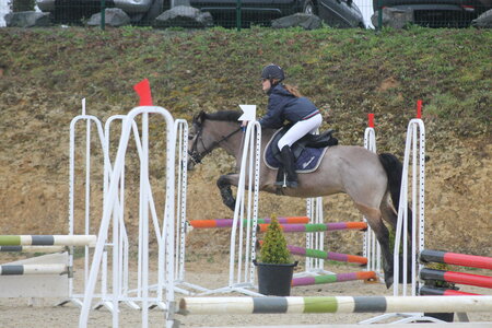 Ecurie du mas 29 mars 2015, IMG_2163