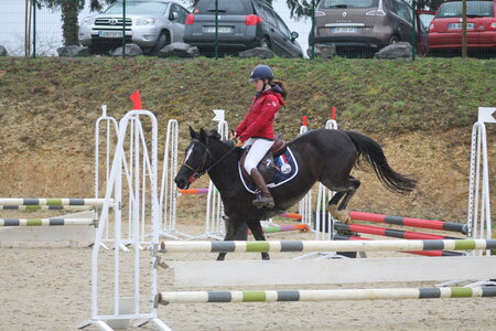 Ecurie du mas 29 mars 2015, IMG_2172
