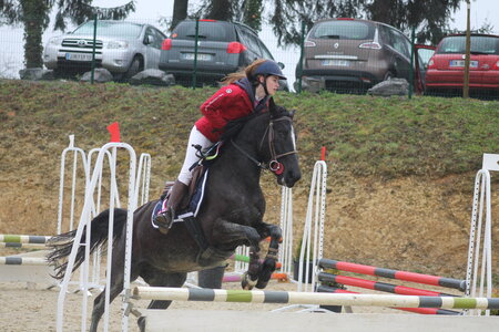 Ecurie du mas 29 mars 2015, IMG_2176