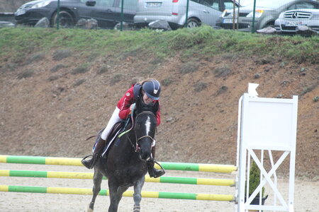 Ecurie du mas 29 mars 2015, IMG_2183