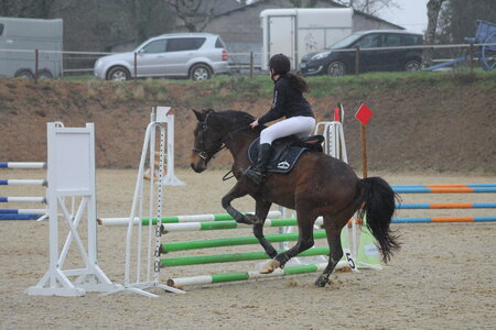 Ecurie du mas 29 mars 2015, IMG_2189