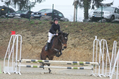 Ecurie du mas 29 mars 2015, IMG_2191