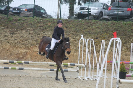 Ecurie du mas 29 mars 2015, IMG_2192