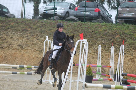 Ecurie du mas 29 mars 2015, IMG_2193