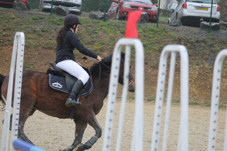 Ecurie du mas 29 mars 2015, IMG_2198