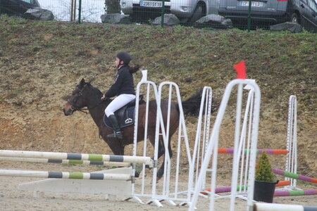 Ecurie du mas 29 mars 2015, IMG_2201