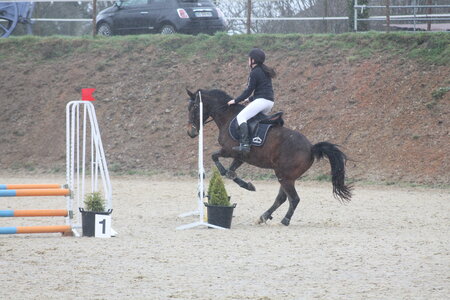 Ecurie du mas 29 mars 2015, IMG_2205