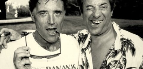 Sosiesland, Miami Vice