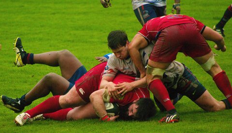 Rugby , SN / DOMONT
