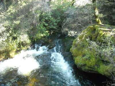 Lake Sylvan, DSCN0554