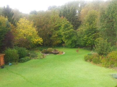 album voyages, jardin automne