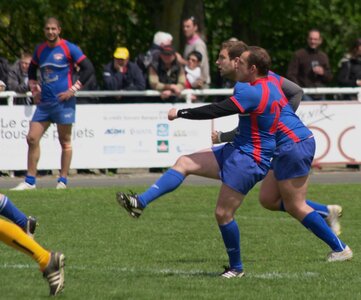 Rugby , Finales Comité