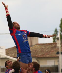 Rugby , Finales Comité
