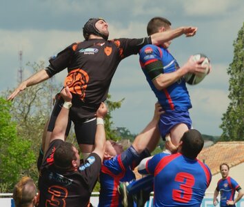 Rugby , Finales Comité