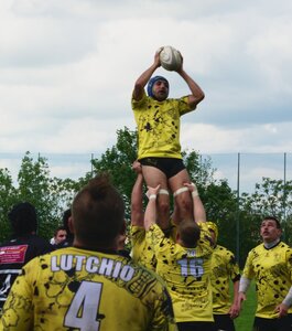 Rugby , Finales Comité
